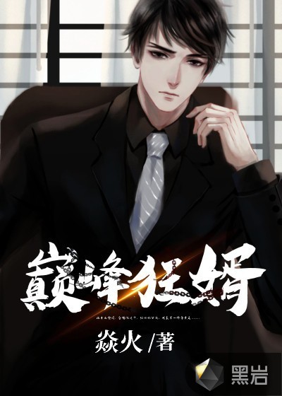 巅峰狂婿