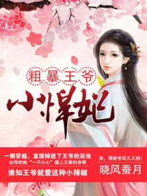 粗暴王爷小悍妃