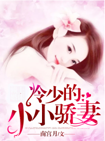 冷少的小小骄妻