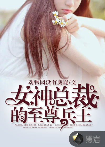 女神总裁的至尊兵王
