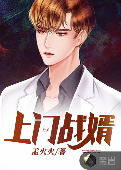 上门战婿