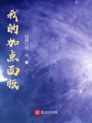 我的加点面板