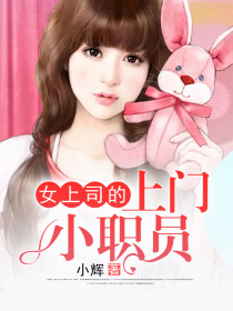 女上司的上门小职员