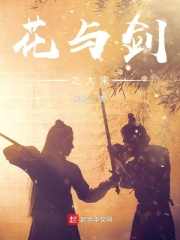 花与剑之大宋