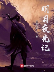 明月夜光记