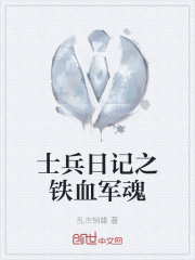 士兵日记之铁血军魂