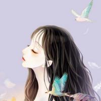 叶少的追妻之路