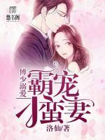 傅少溺爱:霸宠刁蛮妻 洛仙