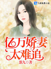 亿万娇妻太难追小说