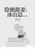 冰山总裁的逃妻