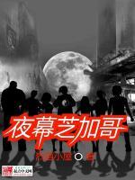 芝加哥夜未眠
