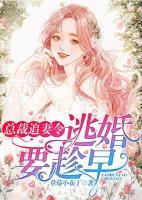 总裁追妻休想逃