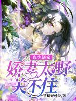 夜少的溺宠逃妻