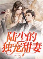 陆少的独宠甜妻 许小慢