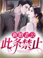 新婚老公此条禁止小说阅读