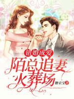 错婚密爱全文免费阅读小说温言
