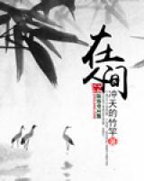 在人间赵丽颖