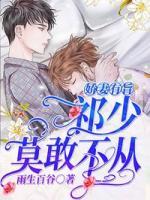 祈少的娇宠罪妻