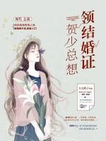 贺少总想领结婚证 月亮紫子biu