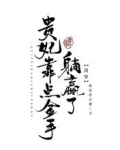 清穿：贵妃靠点金手躺赢了