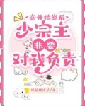 意外揣崽后，少宗主非要对我负责