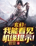 玄幻：我能看见机缘提示！