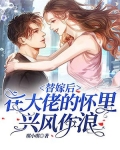 替嫁后,在大佬的怀里兴风作浪 琪小琪