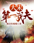 大宋第一武夫
