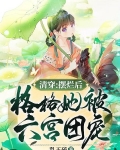 清穿:摆烂后,格格她被六宫团宠 乱玉碎