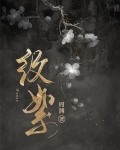 纹絮小说