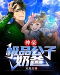 极品公子神榜高手