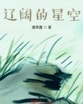 辽阔的星空