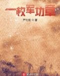 一枚军功章