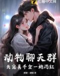 动物聊天表情包