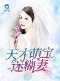 天才萌宝迷糊妻卓御凡