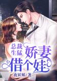 总裁生猛,娇妻借个娃TXT小说