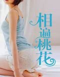 相遍桃花