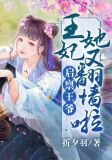 启禀王爷：王妃她又翻墙啦！