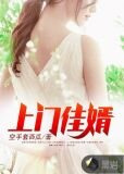 上门佳婿