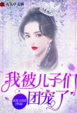 我被儿子们团宠了小说