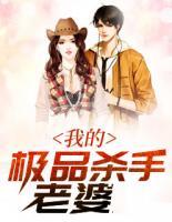 我的极品老婆讲的是什么