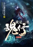 我是一名魂修