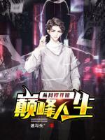 巅峰人生在线阅读完整版