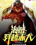 海贼：穿越赤犬