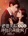 老婆失踪五年后，薄情总裁他疯了