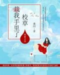 校草栽我手里了